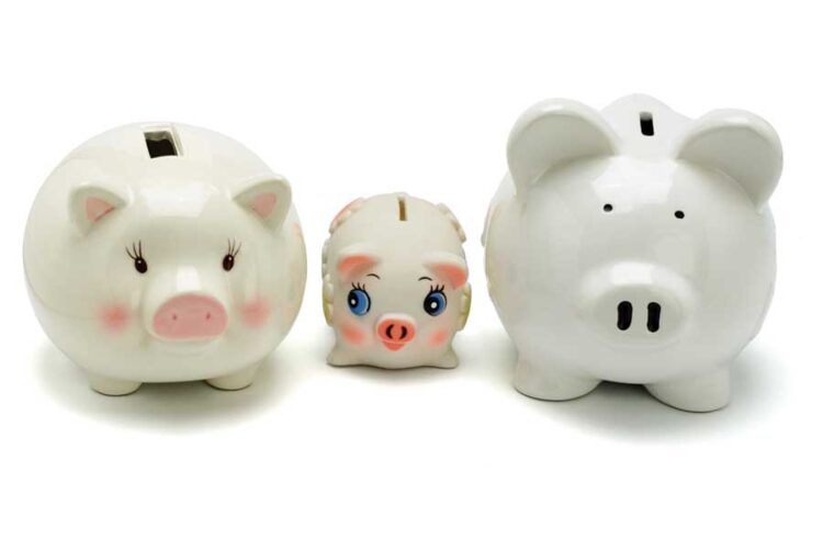 Spend Thrift: Home Improvement Projects for Any Budget